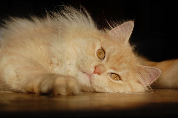 k-DSC_0098 - Kopie.JPG